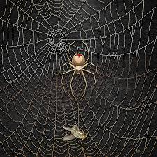 Example: 15.2-1 (Knight P15.58) 21 A spider spins a web with silk threads of density ρ = 1.3 10 V kg m V and diameter d = 3.0 10 YZ m.