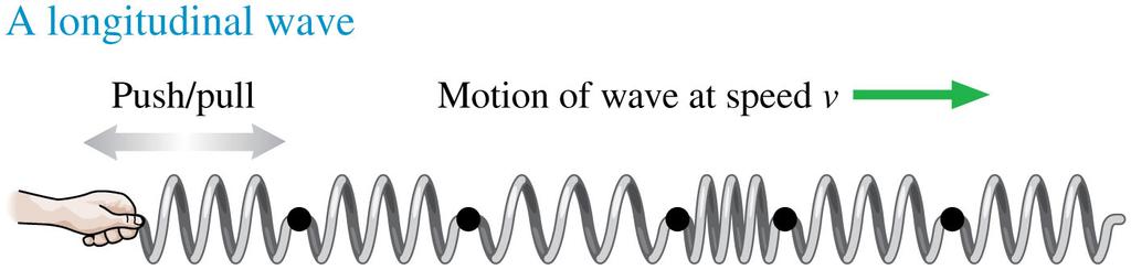 15.1 Transverse and longitudinal waves / Demos 5 Transverse waves are waves in which the motion of the medium is perpendicular to the direction of propagation of the disturbance.