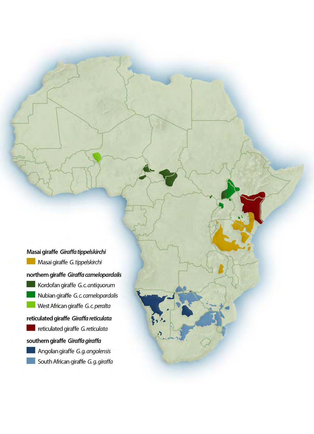Africa- wide Giraffe Range Map Source: GCF 2016 Guiding Principles Given the complexity of the threats facing Africa s giraffe and the diverse suite of conservation measures required to protect and