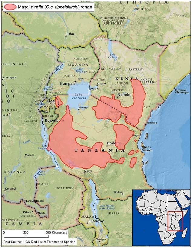 Falls population has increased, with 904 individuals estimated in 2010 (ibid.) and 757 individuals estimated in 2012 (Marais et al.,, p. 4 (Uganda)) based on aerial surveys.