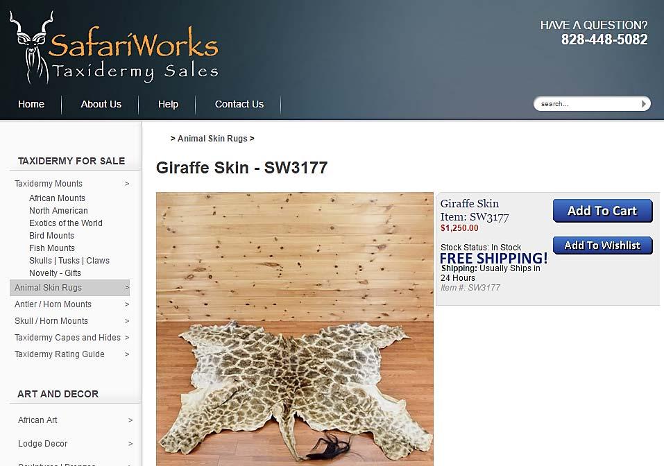 The following are screenshots of some of the items found: Source: 1stdibs, Rare African Taxidermy Massive Tall Part Giraffe. 14 Source: SafariWorks, Taxidermy Sales, Giraffe Skin.