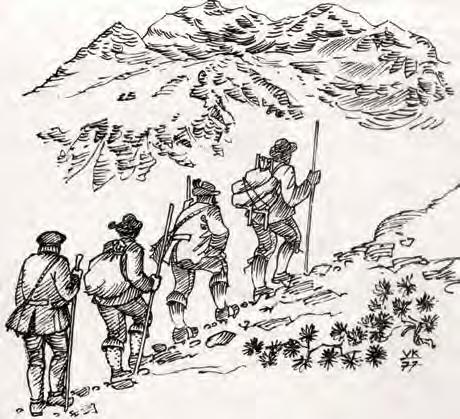Štirje srčni možje na Triglavu Po spodletelem Hacquetovem poskusu, da bi dosegel vrh Triglava, je Zois v spodbudo za čimprejšnji pristop na vrh razpisal nagrado.