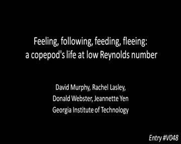 Copepod motion Video by Murphy et al., Georgia Tech (2011) https://arxiv.org/abs/1110.