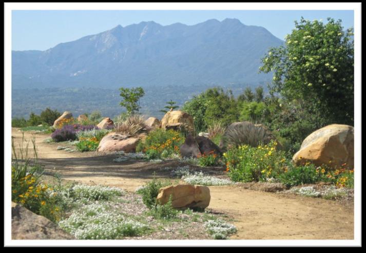Guided Hiking Enjoy a healthy and scenic adventure through the local trail of Ojai or the Los Padres National Forest.