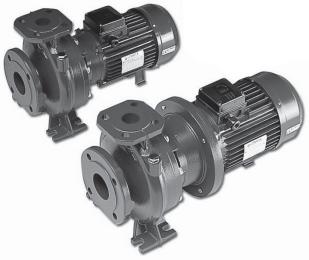 CHARACTERISTICS S OF THE ELECTRIC PUMPS The FH series of horizontal centrifugal pumps are single-impeller (FHE, FHS) or twin-impeller (FHE) with cast-iron bodies and AISI 31L stainless steel shafts.