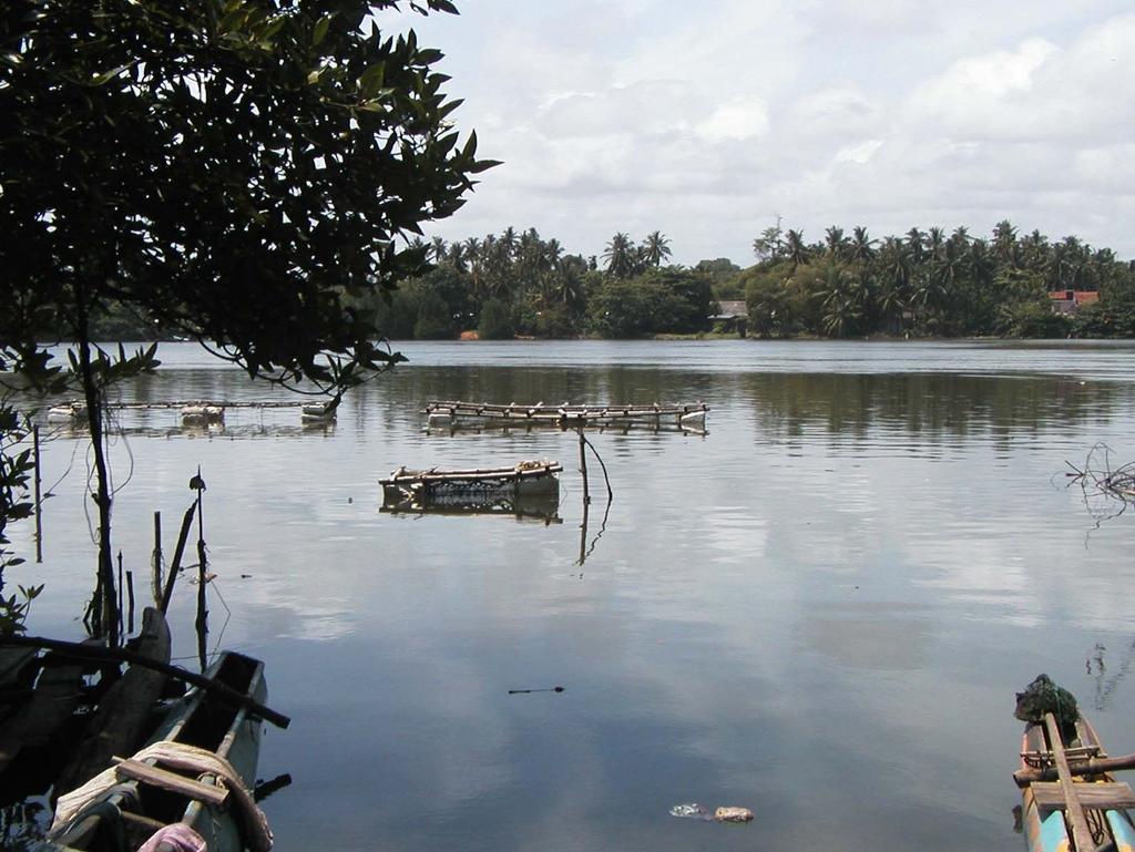 The only mariculture in Sri Lanka!
