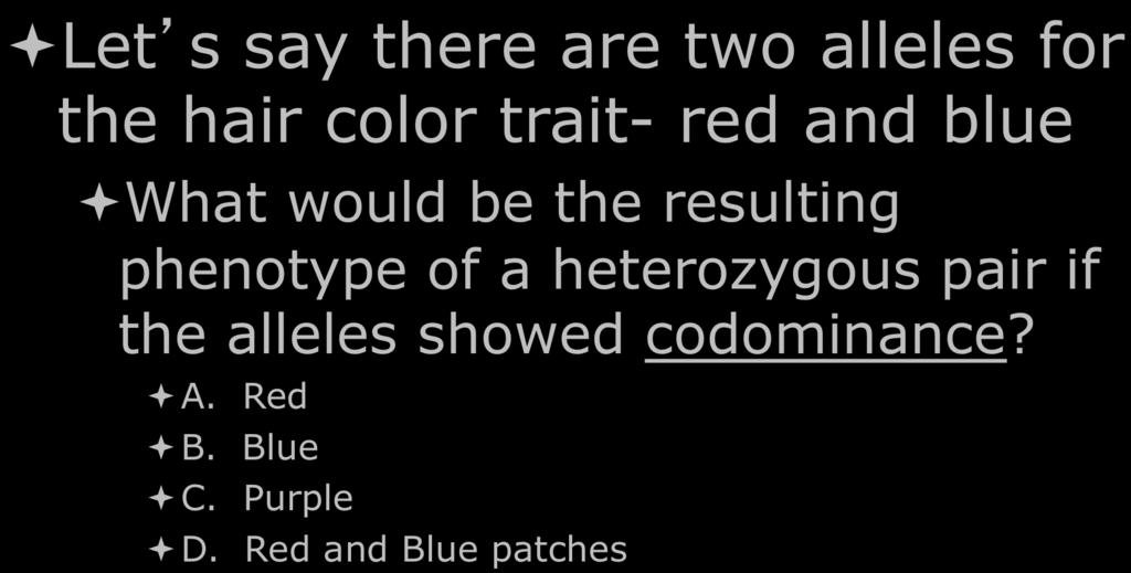 Let s Stop and Think ª Let s say there are two alleles for the hair color trait- red and blue ª What would be the resulting