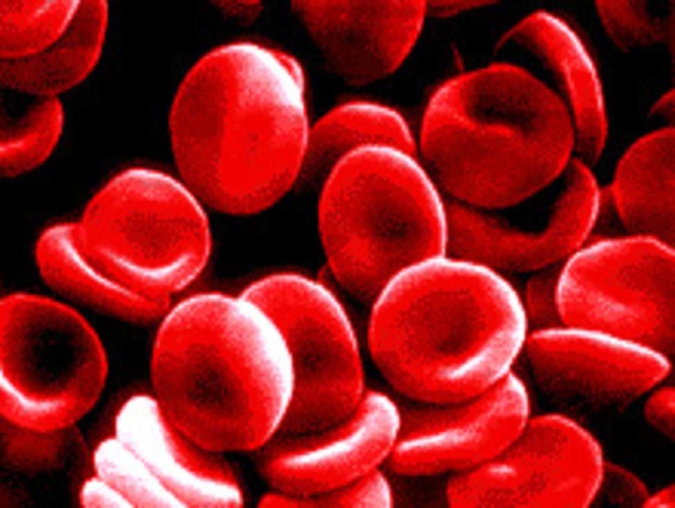 BLOOD TYPES 4 ABO blood types 3 alleles of the I gene I A = A antigen on RBC I B = B antigen on RBC i = neither A nor B antigen http://sydfish.files.