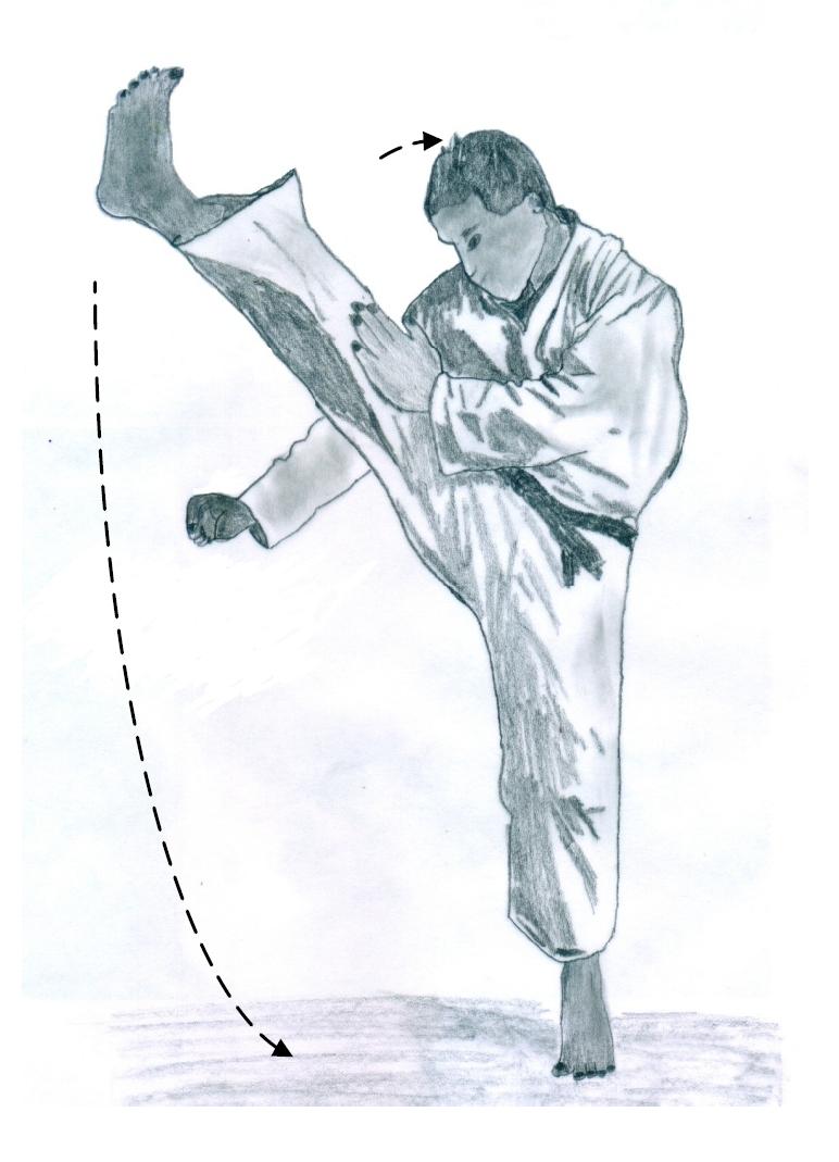 The front kick is characterized by a proximal to distal sequential motion with a fast unloaded movement to maximize kick foot velocity.