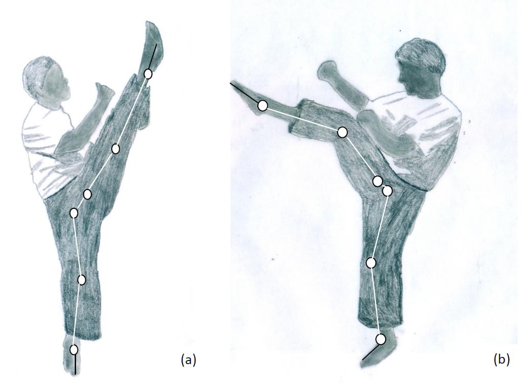 Mailapalli et al. / Biomechanics of the Taekwondo Axe Kick the kicking leg and, in turn, create an opening to target.