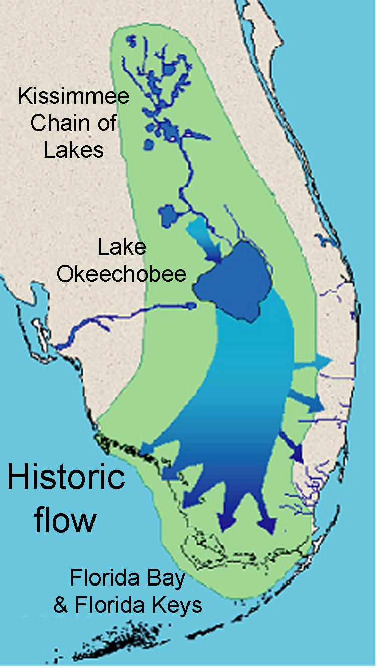 Historical and planned changes in the south Florida ecosystem 2 Eventually, the water leaves the last lake in the chain, Lake Kissimmee, and it enters the Kissimmee River.