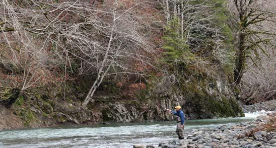 A lone angler float fishing on an Oregon coastal river. performance, comfort and price, the overall of a rod is also very important.