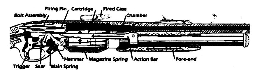 The pump or slide action: The forearm of the stock serves as the actuating device for the action, with the shooter pulling the forearm to the rear toward the action.