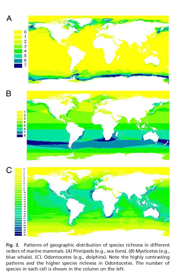 72 Figure 1. Geographic distribution of marine mammal species richness (left column) for A. Pinnipeds; B. Mysticetes; C.