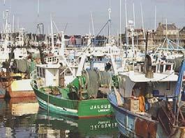 Although the port has suffered from fleet reduction and the transfer of vessel operations to base avancée and neighbouring harbours it remains one of France s principal fishery auction ports with