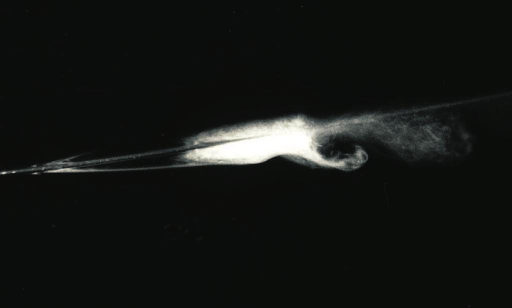 Figure 4: Smoke flow visualization of a laminar separation bubble on the E387 airfoil at a Re = 1,, α