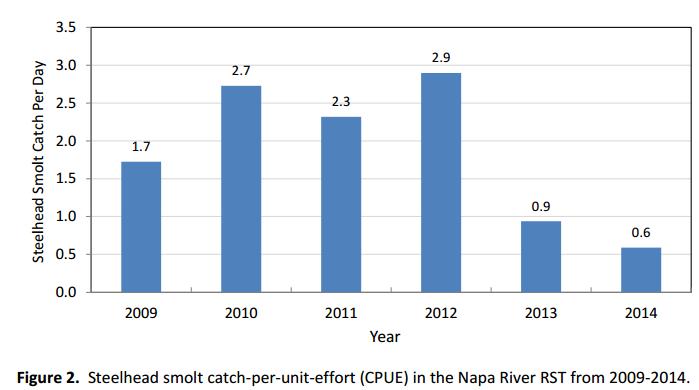 Figure 5. Rotary screw trap catch per unit effort of steelhead smolts in the Napa River, 2009-2014. From: NRCD 2016 Figure 2, pg. 4.