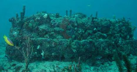 In southeast Florida, the primary approach for reef compensatory mitigation projects has been through the construction of limestone boulder reefs in locations near or adjacent to the impacted reef