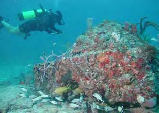 The significance of this question is that here we decide if the idea for an artificial reef or habitat is even valid in particular ocean waters of southeast Florida, before making a commitment to