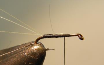 2 & 3) Take the tying thread to where you want to tie in the wing - forward of the half way