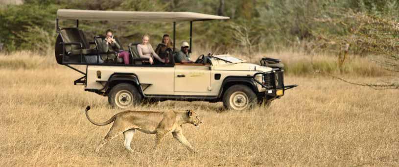 Your safari is tailor made for you YOUR SAFARI DAY There is no fixed safari schedule at
