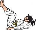 1st Kai 1 st Kai Ushiro-ukemi from crouching Commando crawl Bear crawl, forwards and backwards Hopping, left and right leg Ka Kesa-gatame Demonstrate a sleeve and lapel grip right or left handed What