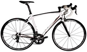 ROAD BIKES - FREE DYNAMIC FIT UP WITH EVERY BIKE Goldcross launches Fuji Demo Bike Program!