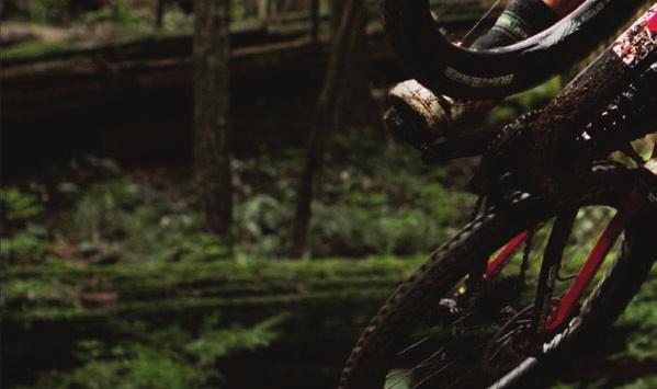 For you, Trek produces its complete line of downhill,