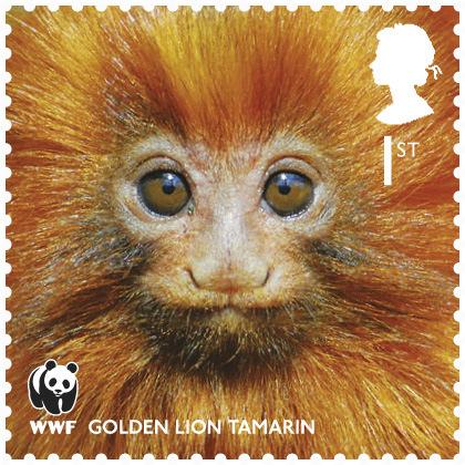 2011 RESOURCES FOR SCHOOLS THREATENED SPECIES AND AMAZON STAMPS Background To celebrate our 50th anniversary, and the work that WWF carries out to protect species and habitat around the world, Royal