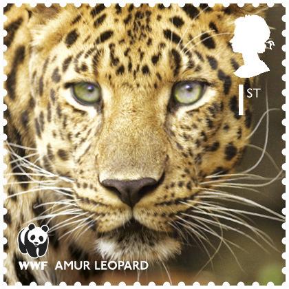 We hope the stamps will help people to realise the special role that WWF has played over the past 50 years in protecting species and preserving the natural world that we live in, as well as raising