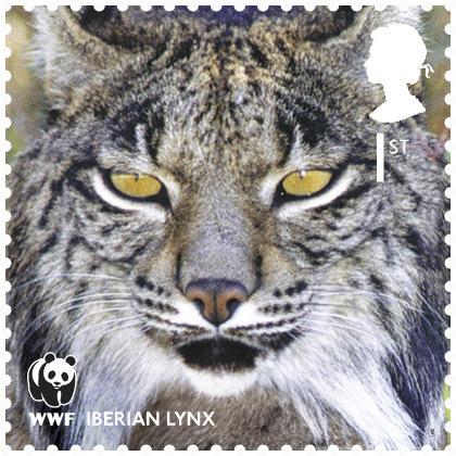 Resource sheet 1 Species under threat quiz 1. Which of the species on the stamps is slightly larger than a domestic cat and also known as the Fire Fox? 2.