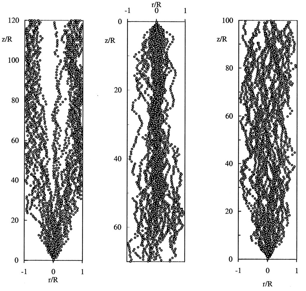 (-1g) (1g) (g) Figure 7: Computed trajectories of bubbles of.5 mm diameter in a turbulent channel flow (h= cm, Re=4,) in vertical upward flow (- 1g), downward flow (1g) and microgravity flow (g).