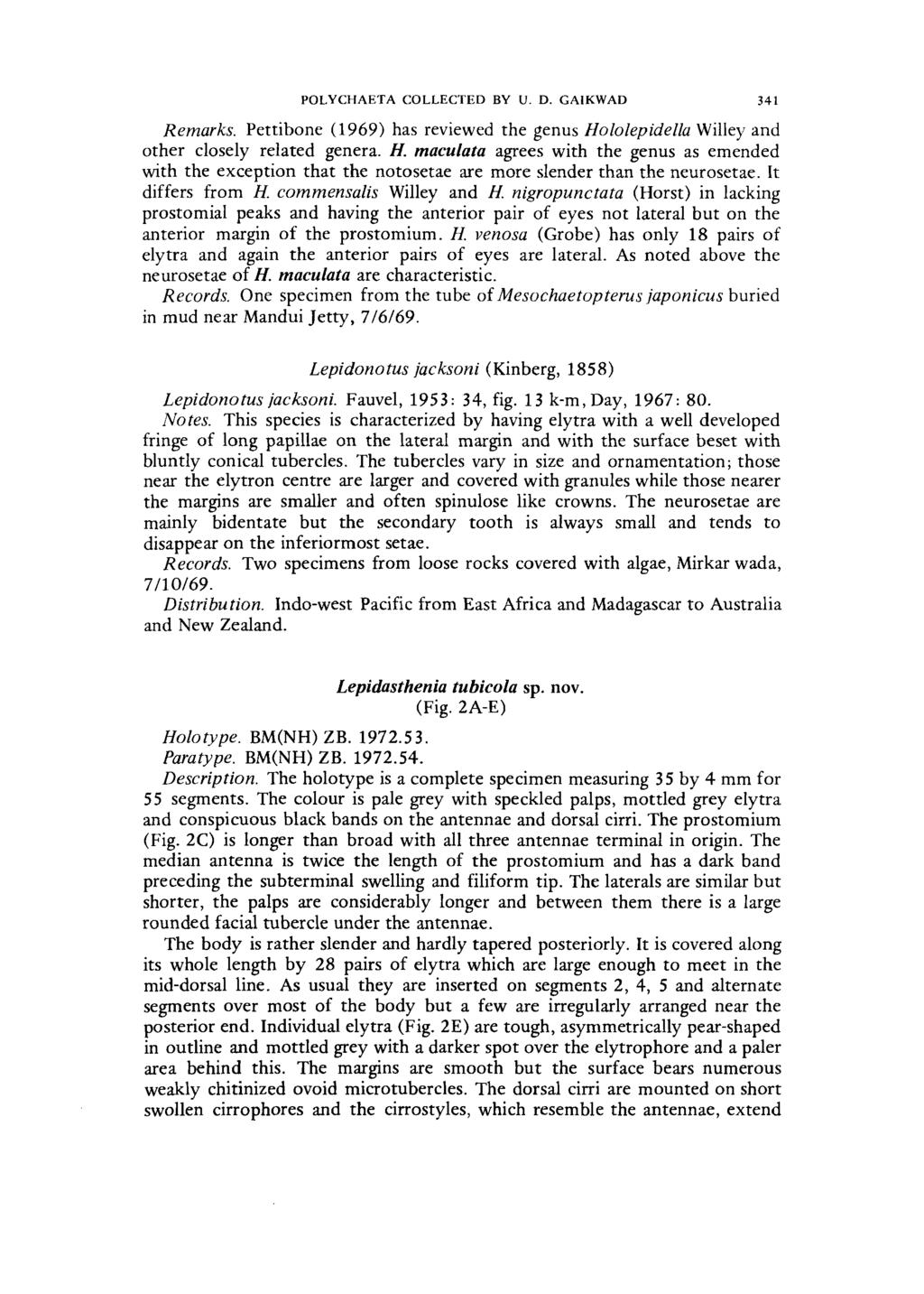 POLYCHAETA COLLECTED BY U. D. GAIKWAD 341 Remarks. Pettibone (1 969) has reviewed the genus Ho