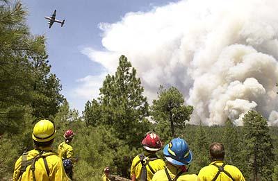 crews, and out of state firefighters fought the Rodeo-Chediski fire.