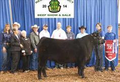 205 DAY: 649 G A R GRID MAKER S A V BISMARCK 5682 BELVIN LADY BLOSSOM 31 96 S A V ABIGALE 0451 LEACHMAN RIGHT TIME BELVIN LADY BLOSSOM 40 93 G D A R TRAVELER 044 G A R PRECISION 2536