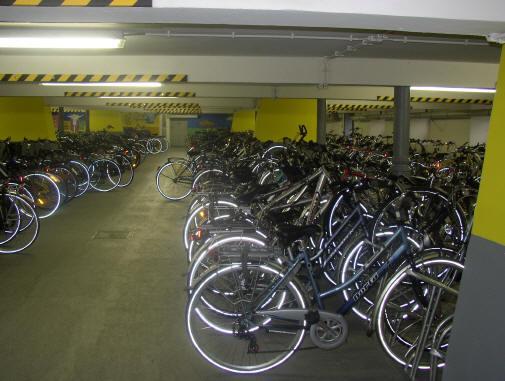 000 stolen bicycles / Jr.