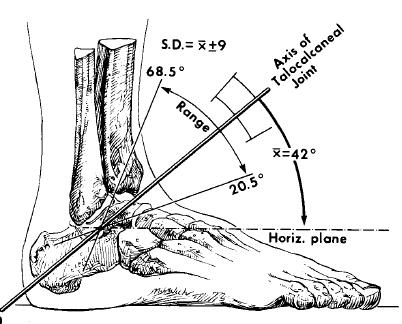 Figure 5. The position of the subtalar joint axis in the transverse plane (left) and sagittal plane (right) (Inman, 1976).