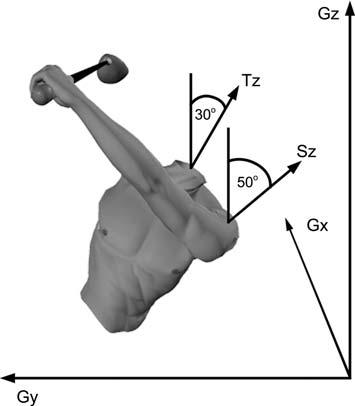 A three-dimensional forward dynamics model of the golf swing 167 torque, must cause the clubhead to rotate about the longitudinal axis of the lead arm in the plane of the swing.