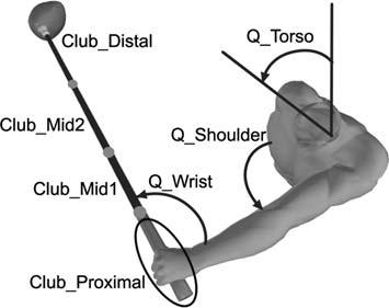 168 S. J. MacKenzie, E. J. Sprigings Fig. 2 Depiction of the convention used to express the angular position of the Torso, Shoulder and Club_Proximal, the most proximal club segment.