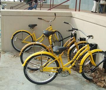 bike fleet for