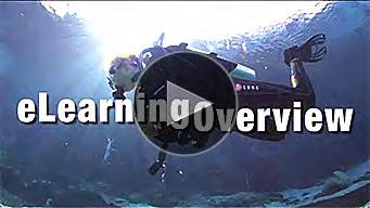 Become a NASE Dive Center n No annual fee for Dive Center membership n Preferred pricing on all materials n Free listing on NASEworldwide.