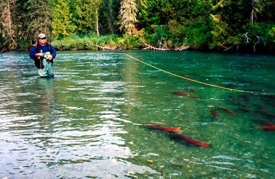 Cariboo Chilcotin Coast - Freshwater Fishing T he Southern Interior of BC offers some of the finest angling in the world and the Cariboo lies at the heart of that region.