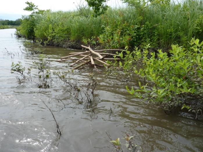 Figures 22-23. Woody habitat structures placed in Fish Creek to mitigate the loss of aquatic vegetation.