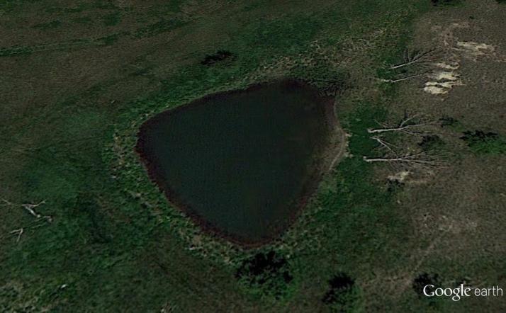 Figure 1. Illinois Natural History Survey pond. Figure 2. Perdueville rearing pond. FISH NO. SEX LENGTH CLIP DATE FISH NO.