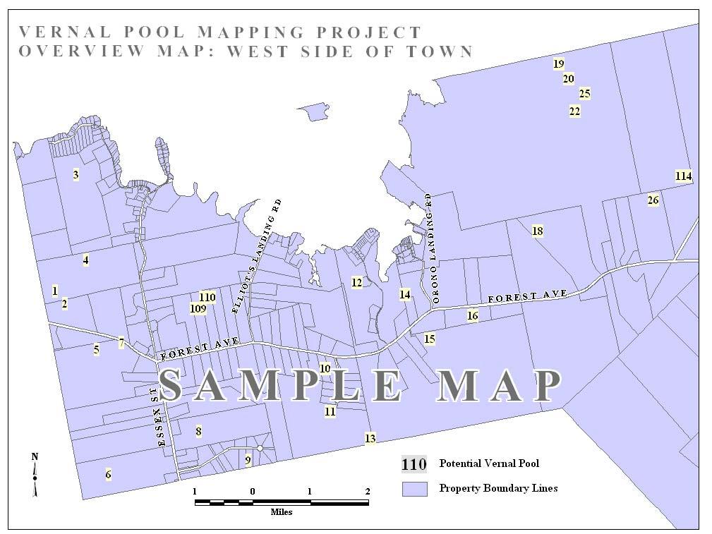 Figure xxx. Example of overview map to aid volunteers in locating potential vernal pools. Table xxx: Example of column headings to include in spreadsheet for volunteers conducting field assessments.