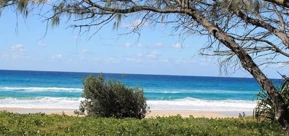 The Gold Coast Council, in partnership with Griffith University's Centre for Coastal Management, actively seeks to better understand the ecological and physical processes that shape the