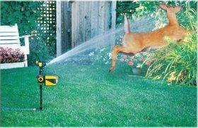 Scarecrows Motion activated water deterrent Critters don t like to be surprised Can be effective against birds, deer, turkeys May need multiple