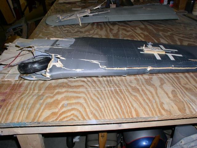 Upper side of left wing panel from the front.
