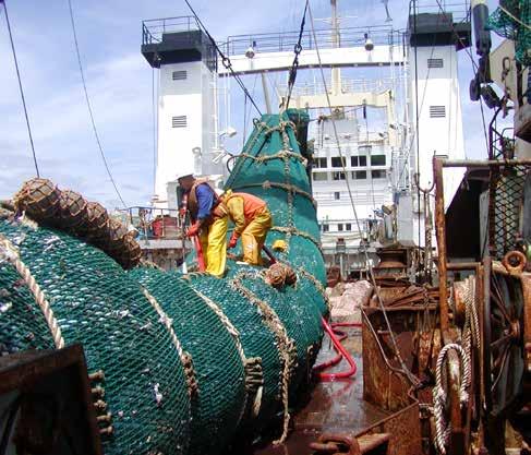 111 Section 6: Outcomes Achieved Under the NZ QMS Section 6a: Biological and Environmental Performance Fishermen hauling in their catch Deepwater Group Ltd are fragile, slow growing, long-lived,