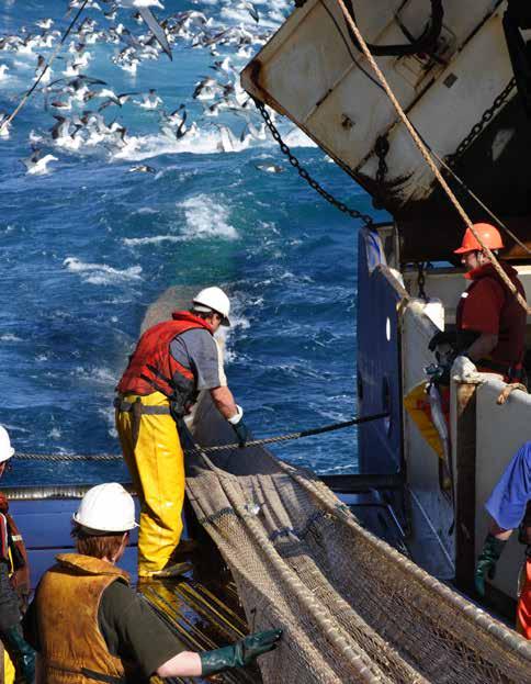 21 Section 1: Insights and Lessons from the New Zealand Experience n Devising an efficient, cost effective catch-balancing system is essential to the operation of a Quota Management System.